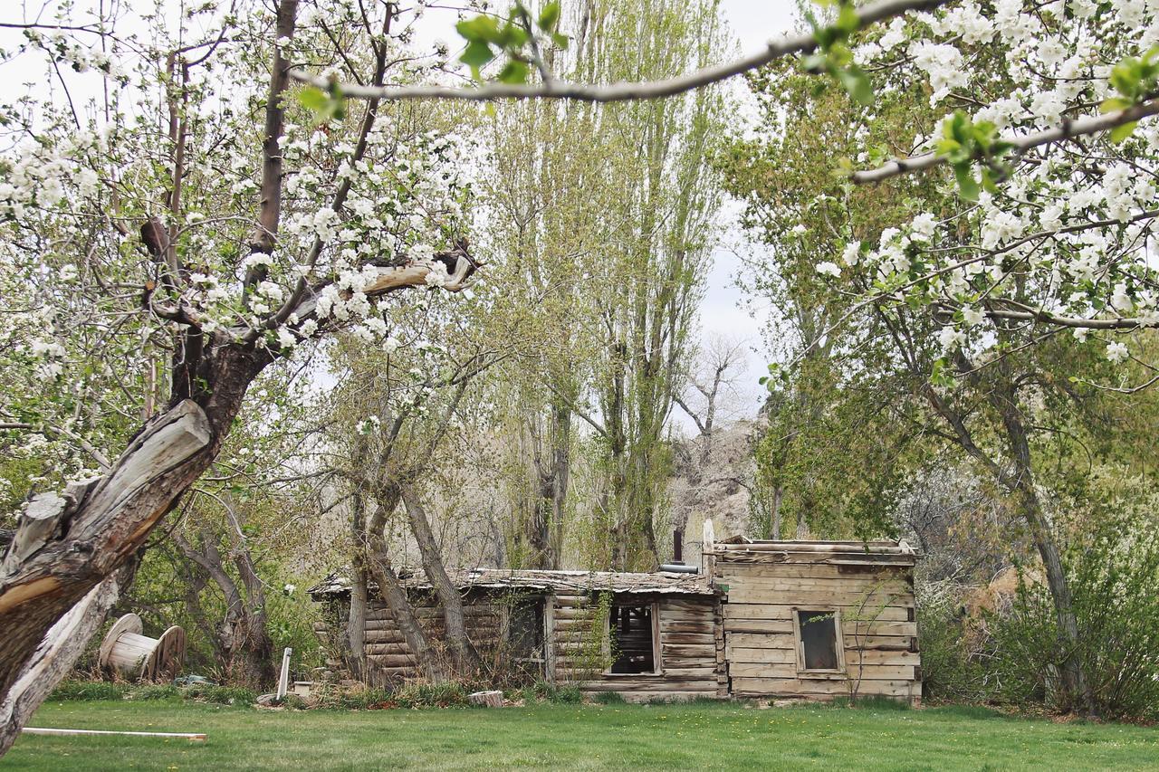 Hidden Canyon Retreat Baker Екстер'єр фото